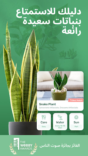 تطبيق Blossom - التعرف على النبات برو0
