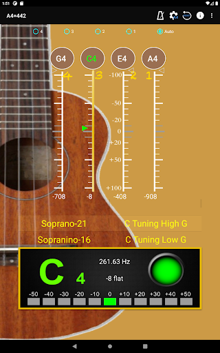 Screenshot 12