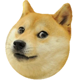 Doge Bounce! icon