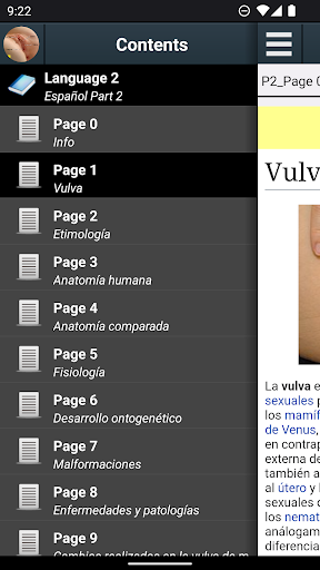 Vista previa de la aplicación