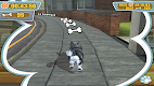 screenshot of PS Vita Pets: Puppy Parlour