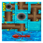 Ant Run Maze