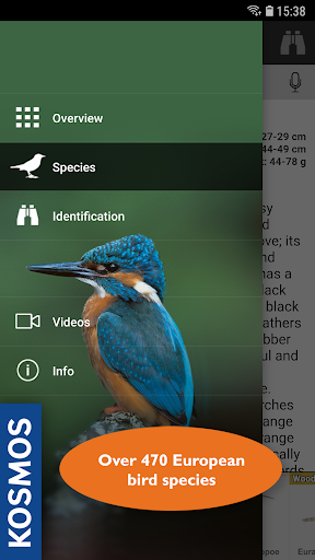 Android application Birds of Europe: Identificatio screenshort