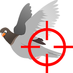 Bird's Shoot Apk