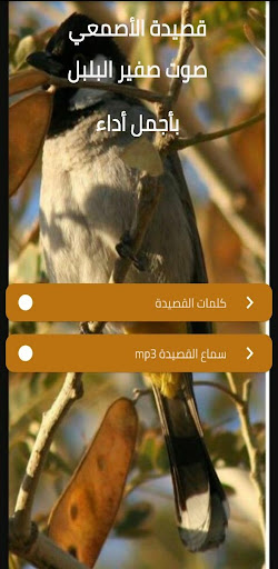 Android application صوت صفير البلبل بدون نت screenshort