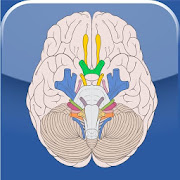 Top 4 Education Apps Like Cranial Nerves - Best Alternatives