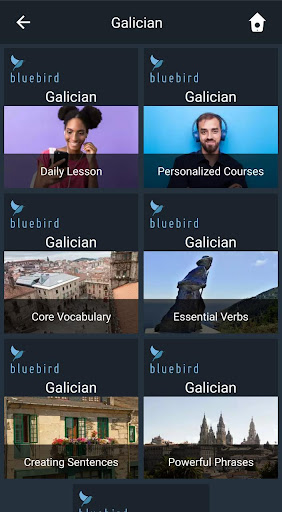 Android application Learn Galician. Speak Galician screenshort