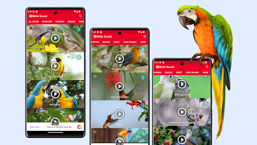 Bird Sounds Ringtones Offline