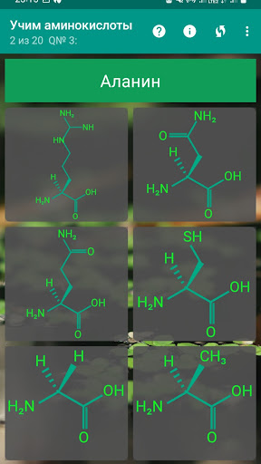 Science Quiz Screen 3