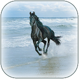 Horse 3D Wallpaper icon