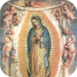 Virgen de Guadalupe Aparicion icon