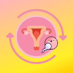 Ovulation & Period Tracker: Fertility Calendar Apk