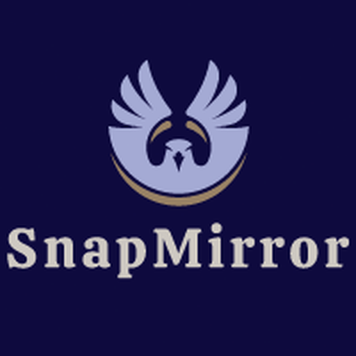 SnapMirror