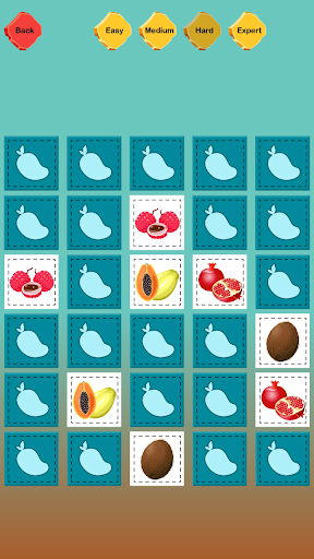 Memory Game - Match the Pair