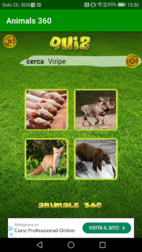 Animals 360 Screen 3