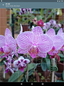 Captura de Pantalla 19 Rompecabezas: Flores android