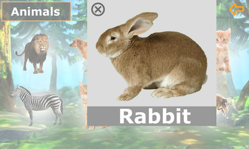 English for Kids English Words Screen 2