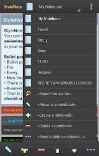 StyleNote Pro Screenshot