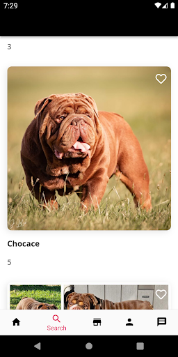 Stud Dog Screen 3