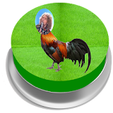 Gallo Eurovision Button icon