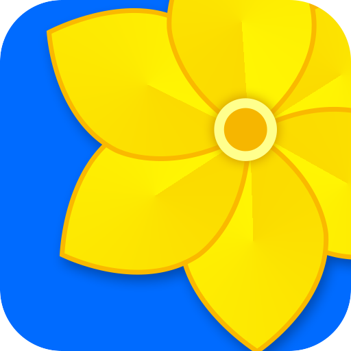 Gallery - Photo & Video Player  Icon