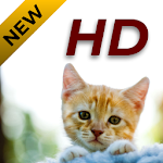 Cover Image of Download Animal Wallpapers HD 1.0 APK