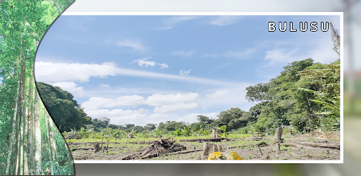 Injil Lukas Dagu Bulusu