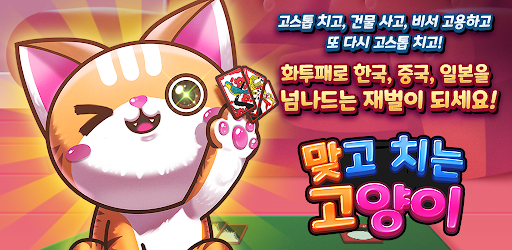 맞고치는 고양이