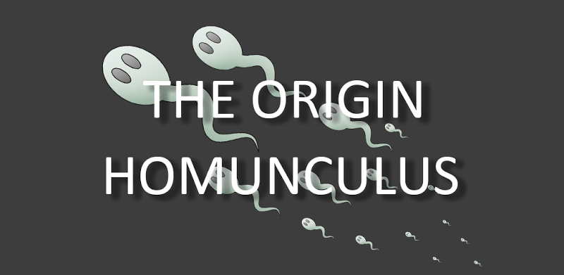 The Origin Homunculus
