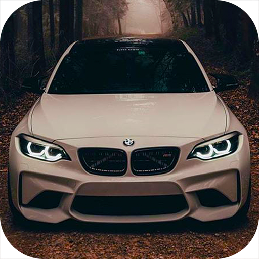 BMW M2 Car Wallpapers Logo