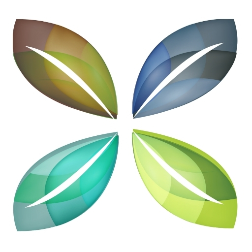Detox n Heal Yourself logo