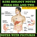 Cover Image of Download Form 1 And 2 Biology Notes 1.0.2 APK