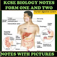 Form 1 And 2 Biology Notes