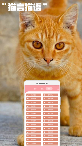 人猫交流器 -人猫翻譯，猫語翻譯 Screen 3