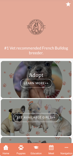 Android application Frenchie Puppies screenshort