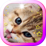 Hello Cute Kitty livewallpaper icon