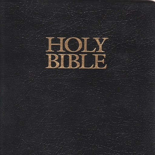 Simple Bible (KJV, NIV, NLT) Logo