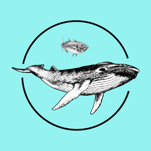 AQUATIC NOISE 2022 logo