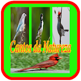 Cantos Da Natureza Brasileiros icon