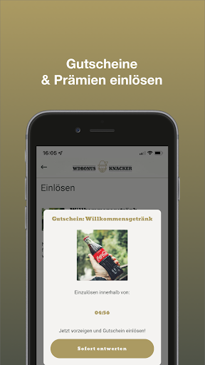 Woodstock der Blasmusik Screen 3