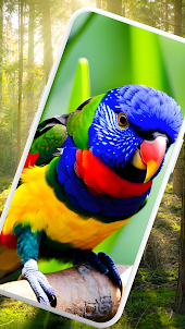 Flamboyan Color Bird Wallpaper