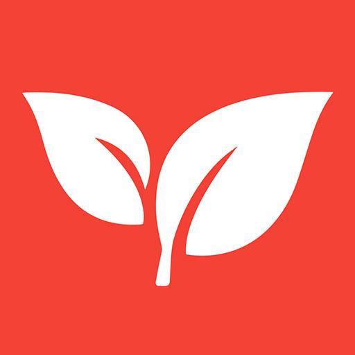 Quantum Manners logo