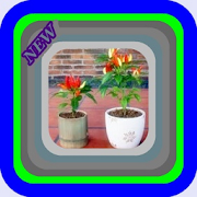 Top 21 Education Apps Like Cabe Rawit cultivation in polybag - Best Alternatives
