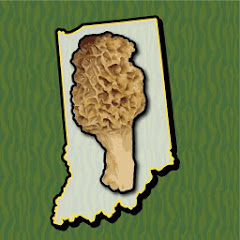 Indiana Mushroom Forager Map