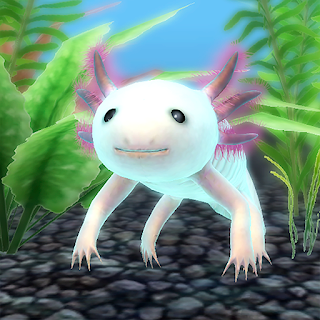 My Axolotl Aquarium