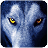 Wolves Game Puzzles icon
