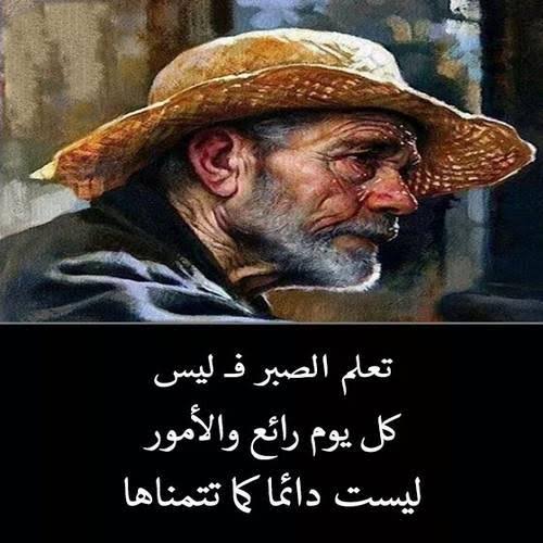 حكم واقوال وامثال بدون انترنت Screen 3