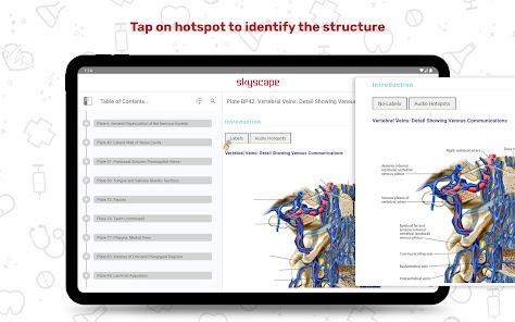 Captura de Pantalla 17 Human Anatomy Atlas android