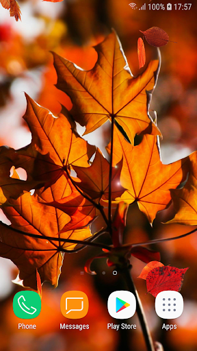 Autumn Live Wallpaper HD Screen 2