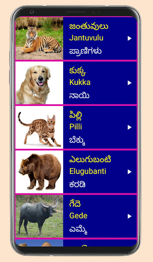 Learn Telugu From Kannada Screen 3